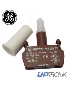 Integrated LED 24V AC / DC Green Standard