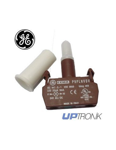Integrated LED 24V AC / DC Green Standard