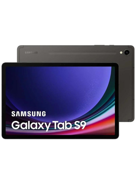 Samsung Galaxy TAB S9 12Gb 256Gb Wifi Gray